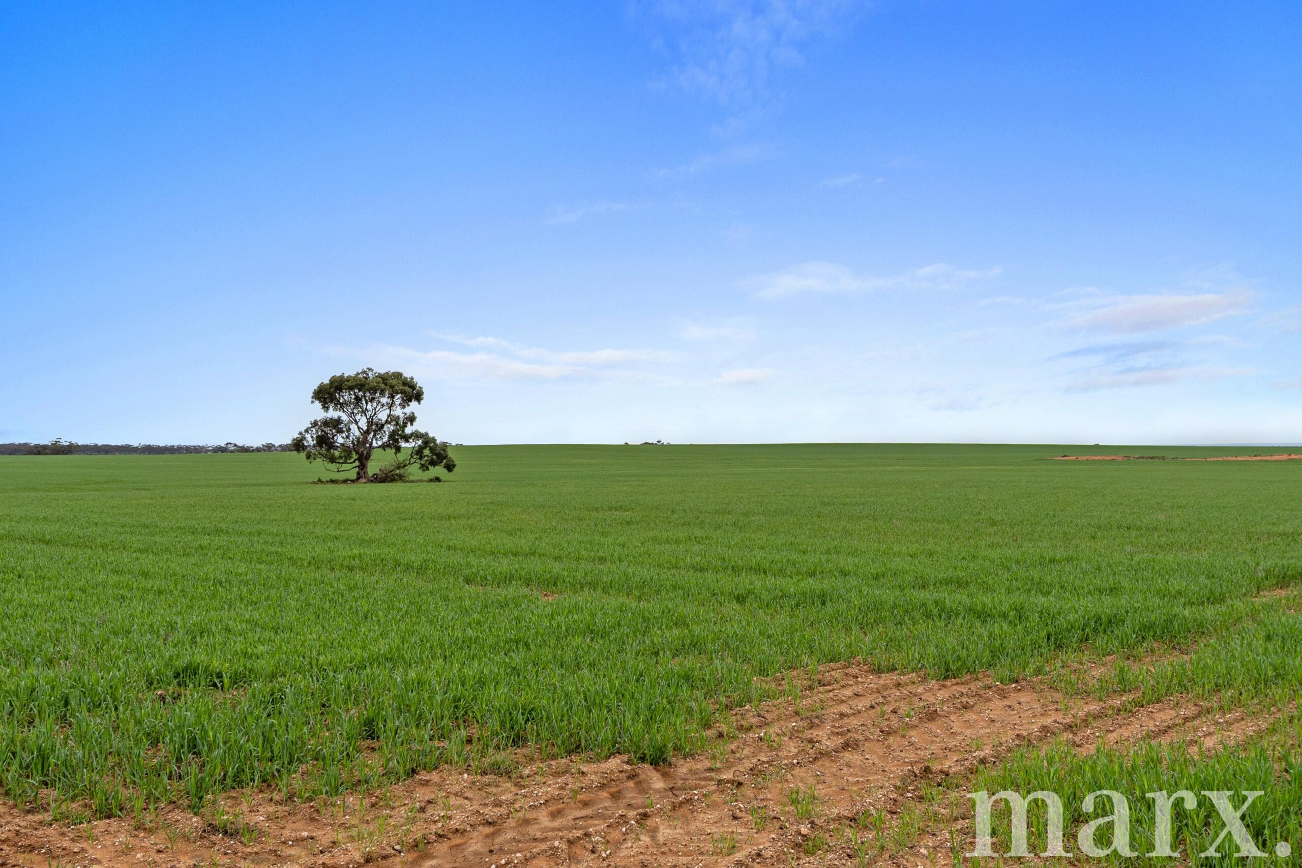 Lot 232 Old Railway Road, STEINFELD, SA 5356