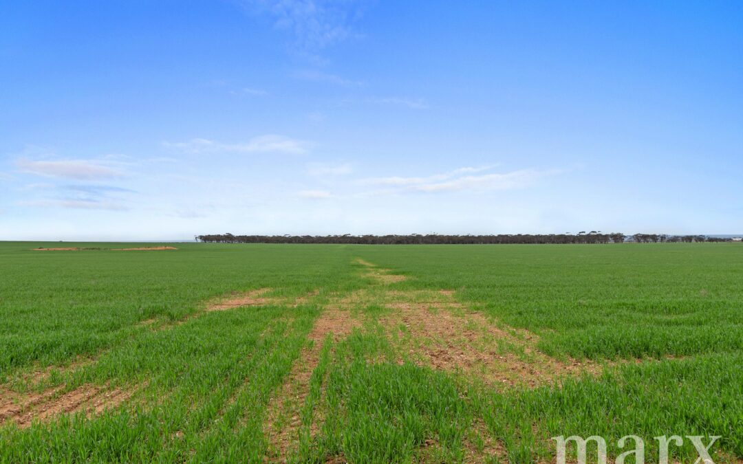 Lot 232 Old Railway Road, STEINFELD, SA 5356 AUS