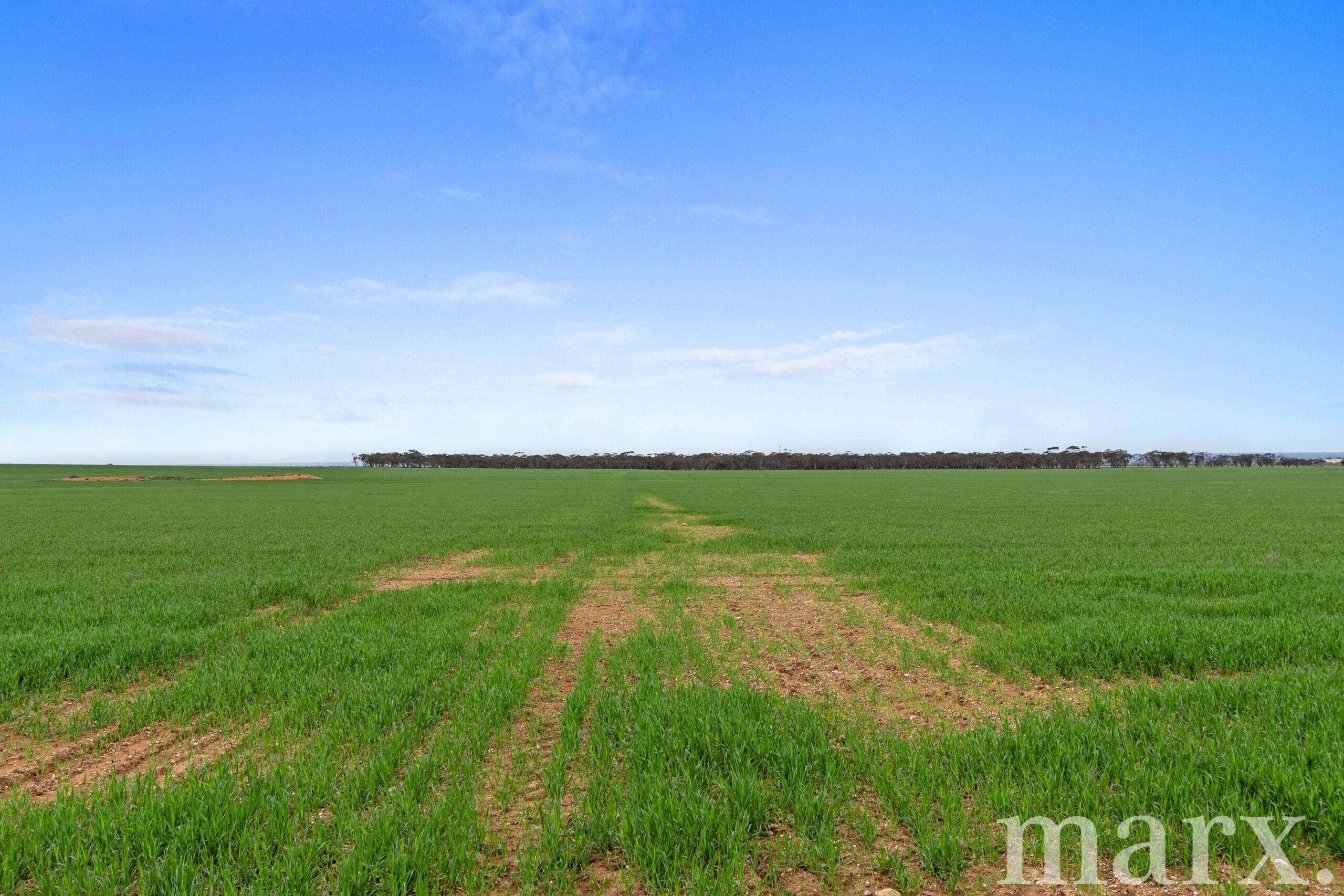 Lot 232 Old Railway Road, STEINFELD, SA 5356