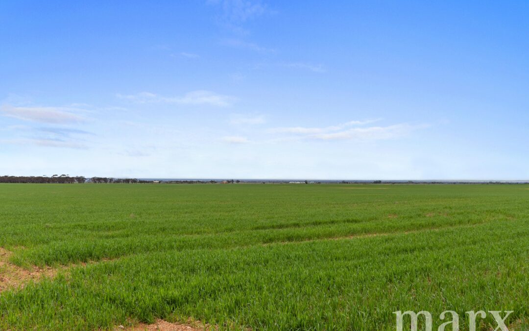 Lot 232 Old Railway Road, STEINFELD, SA 5356 AUS