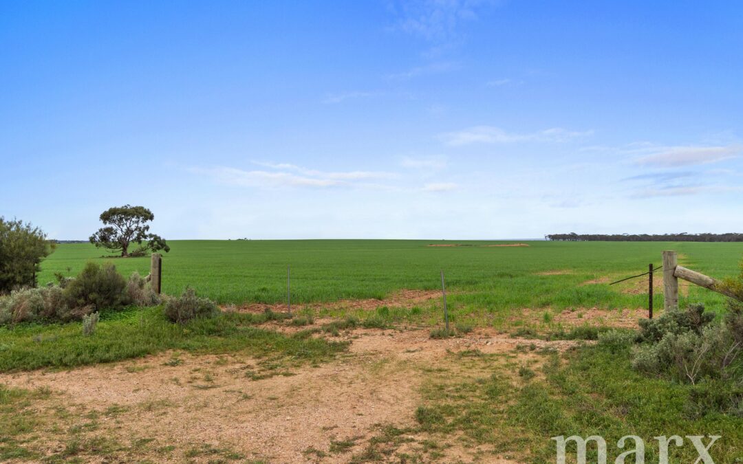 Lot 232 Old Railway Road, STEINFELD, SA 5356 AUS