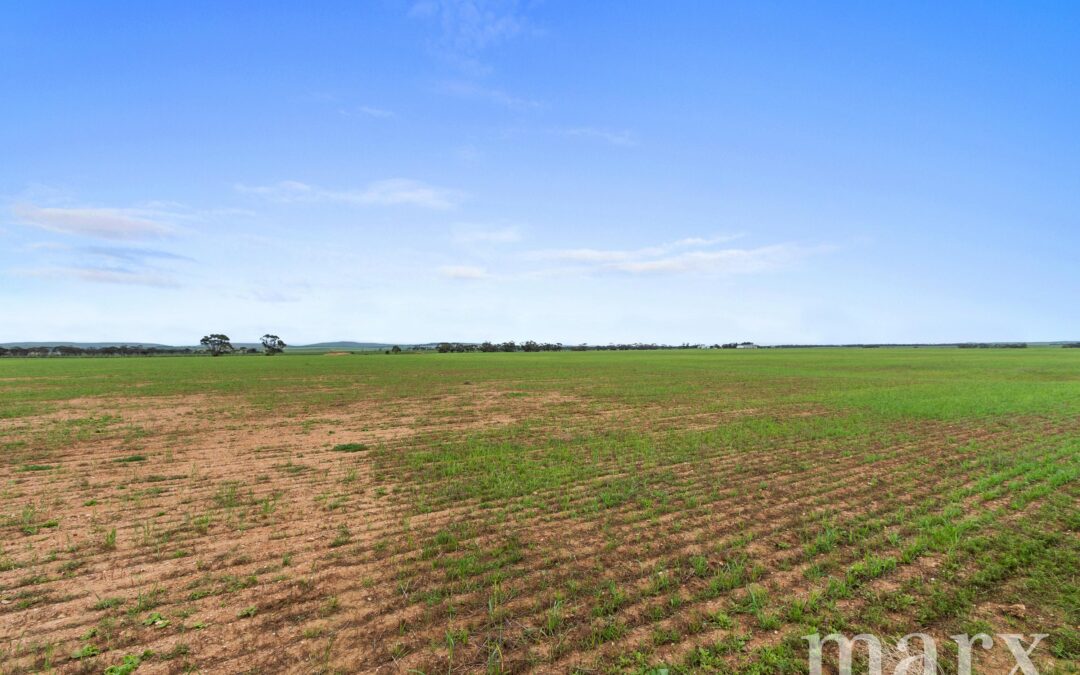 Lot 232 Old Railway Road, STEINFELD, SA 5356 AUS