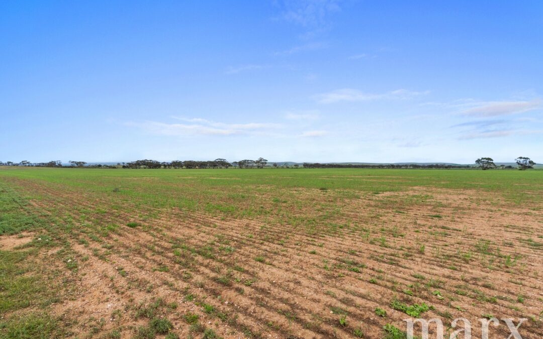 Lot 232 Old Railway Road, STEINFELD, SA 5356 AUS