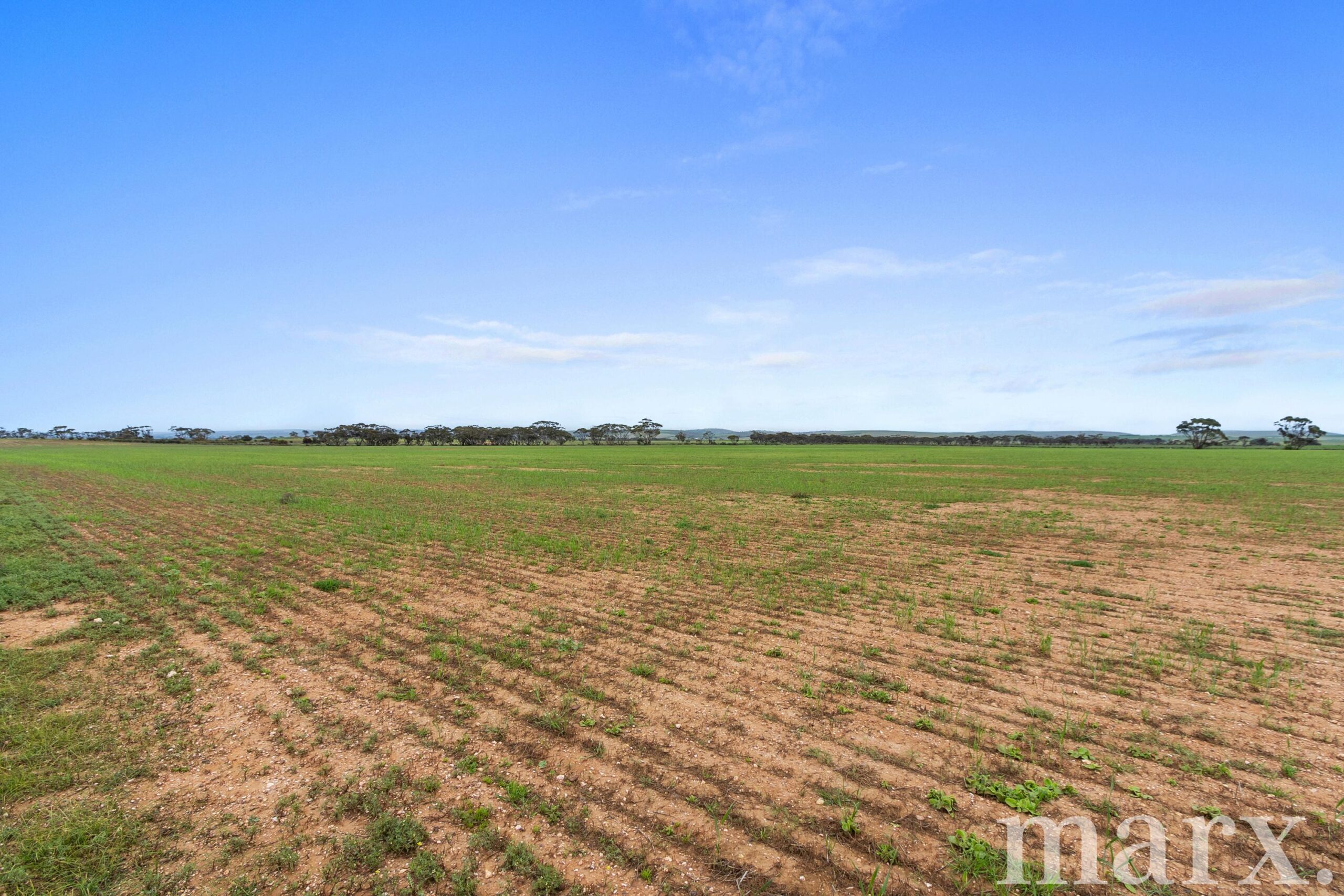 Lot 232 Old Railway Road, STEINFELD, SA 5356