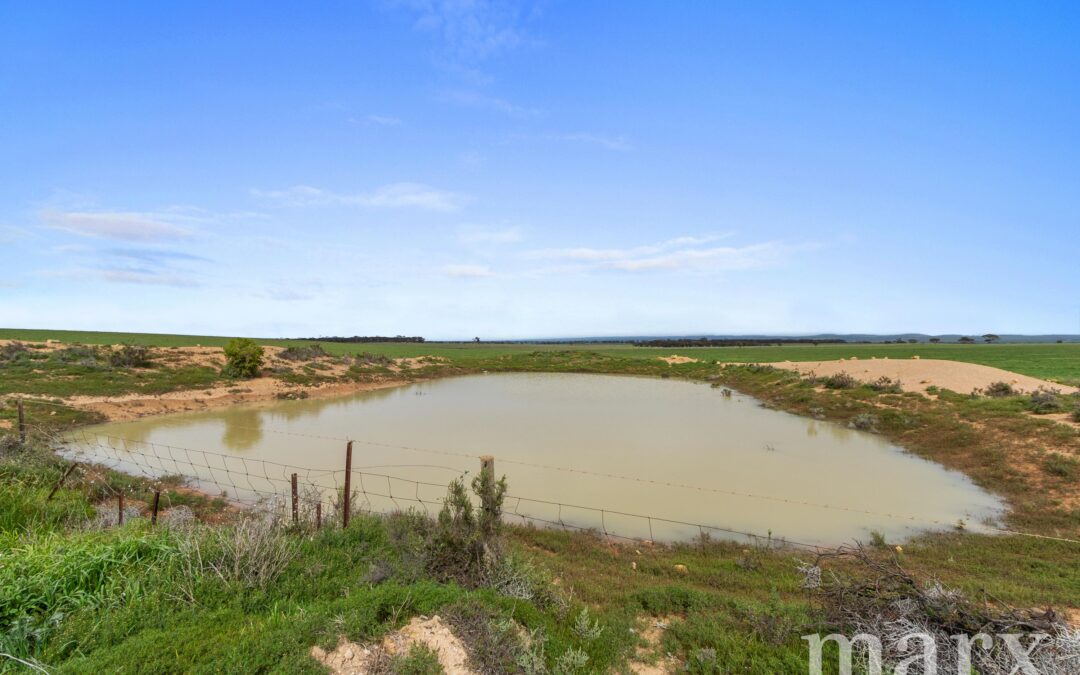 Lot 232 Old Railway Road, STEINFELD, SA 5356 AUS