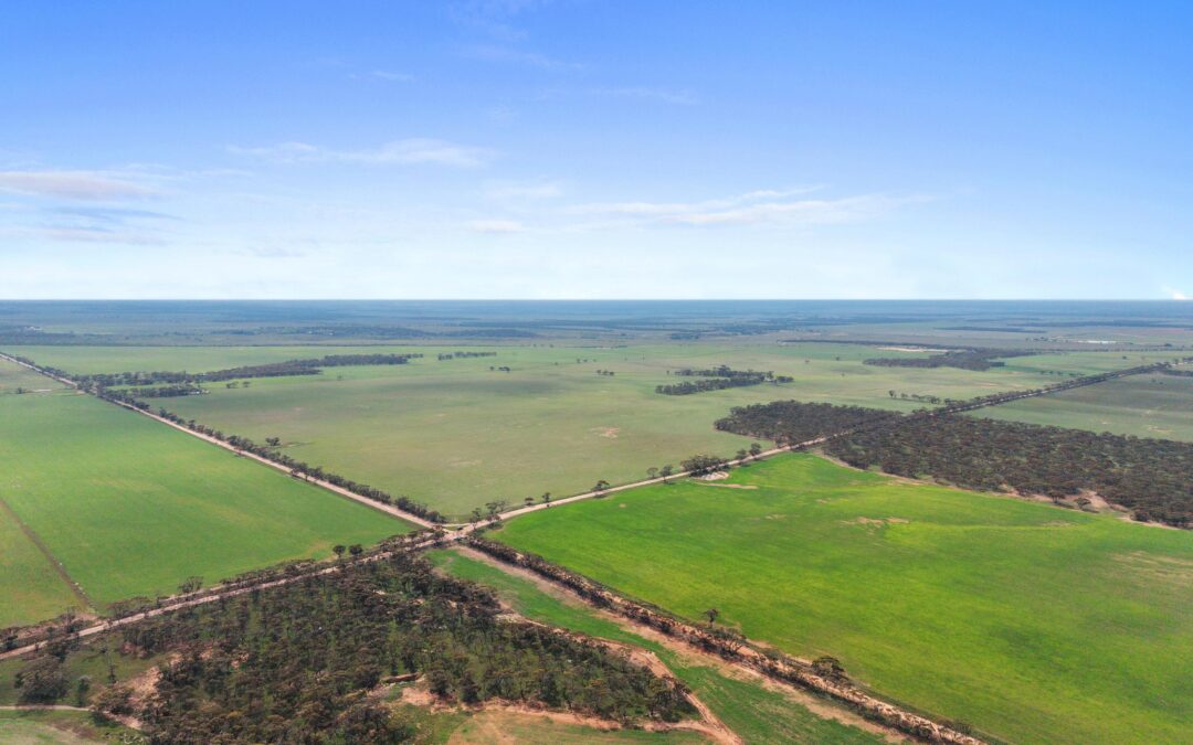 Lot 232 Old Railway Road, STEINFELD, SA 5356 AUS