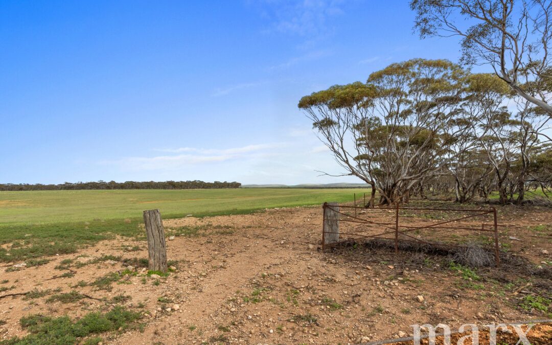 Lot 232 Old Railway Road, STEINFELD, SA 5356 AUS
