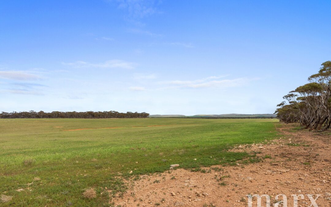 Lot 232 Old Railway Road, STEINFELD, SA 5356 AUS