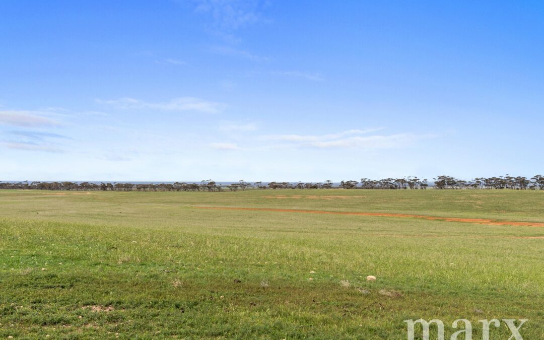 Lot 232 Old Railway Road, STEINFELD, SA 5356 AUS