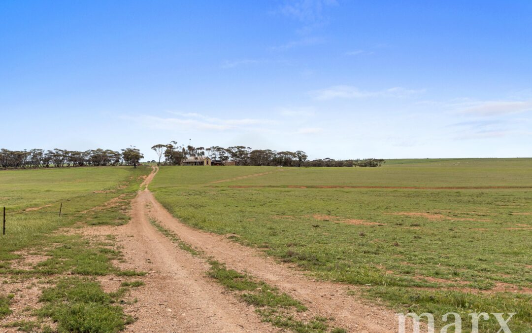 Lot 232 Old Railway Road, STEINFELD, SA 5356 AUS