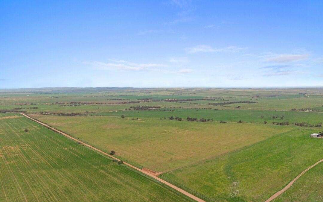 Lot 232 Old Railway Road, STEINFELD, SA 5356 AUS
