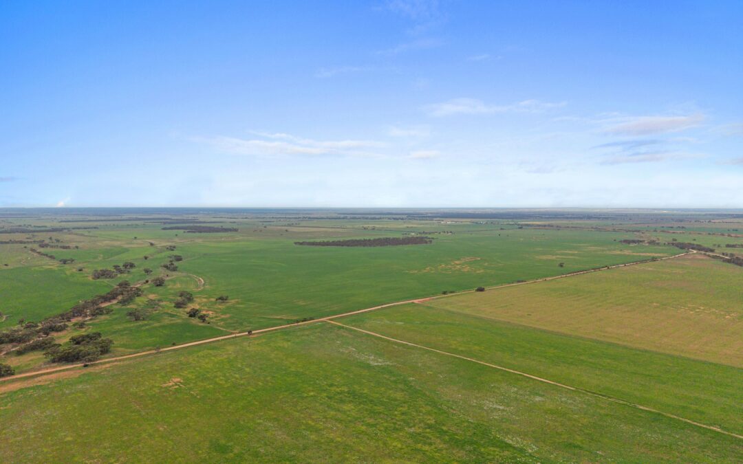 Lot 232 Old Railway Road, STEINFELD, SA 5356 AUS