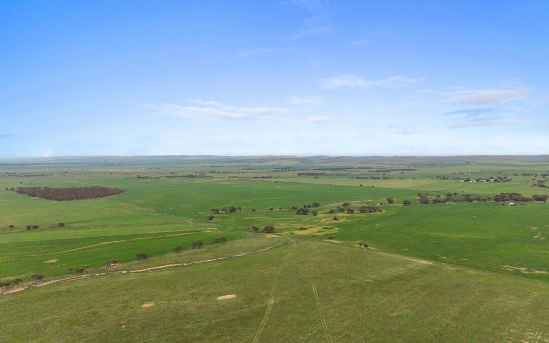 Lot 232 Old Railway Road, STEINFELD, SA 5356 AUS