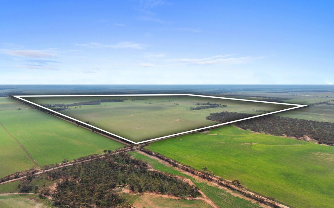 Lot 232 Old Railway Road, STEINFELD, SA 5356 AUS