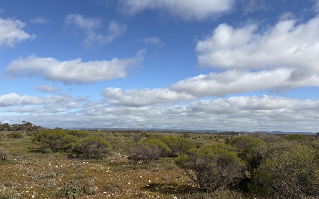 Lot 731 Sperling Road, SANDLETON, SA 5356 AUS