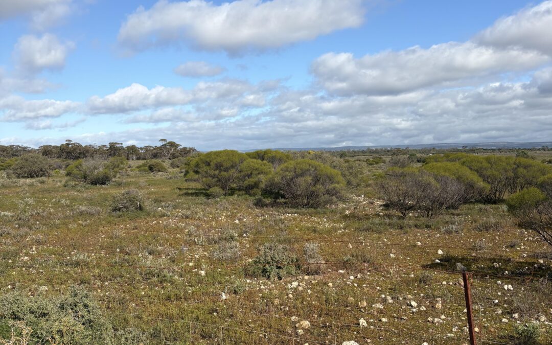 Lot 731 Sperling Road, SANDLETON, SA 5356 AUS