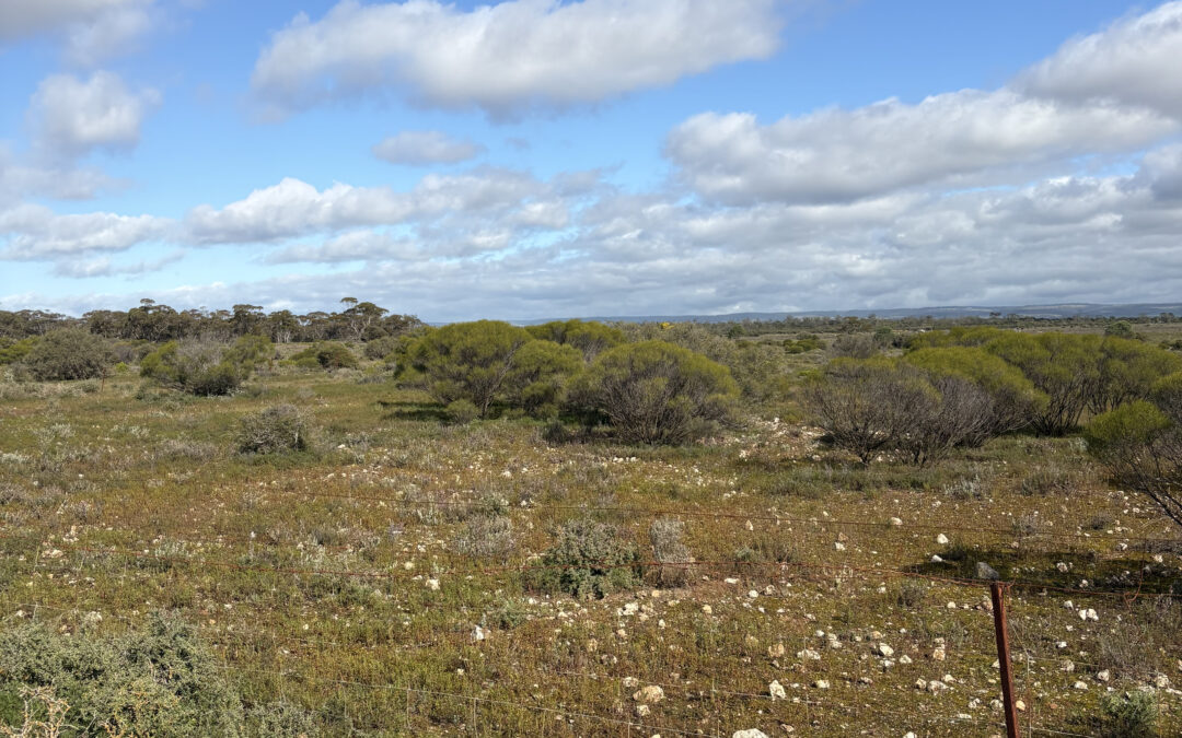 Lot 731 Sperling Road, SANDLETON, SA 5356 AUS
