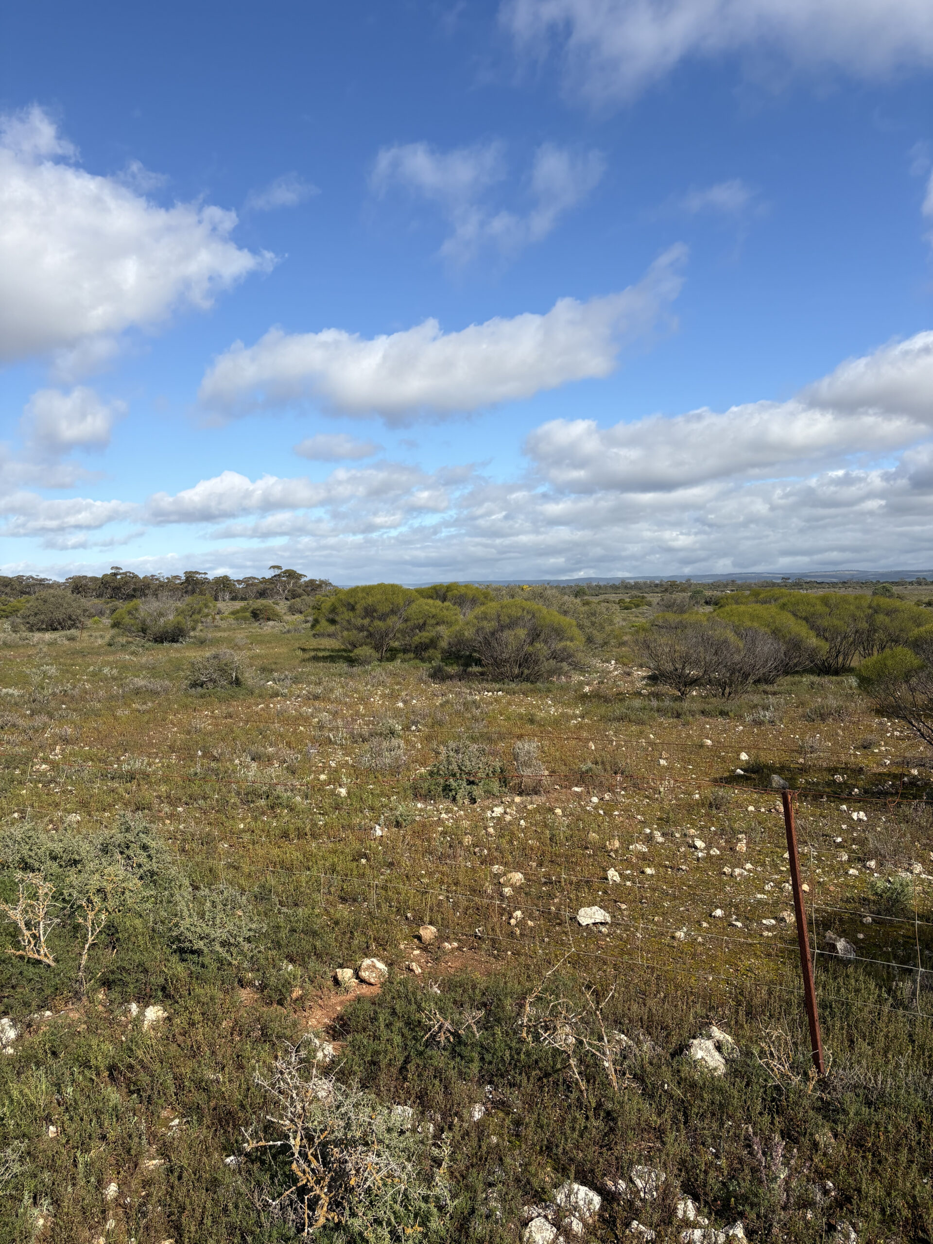 Lot 731 Sperling Road, Sandleton - Thumbnail 3