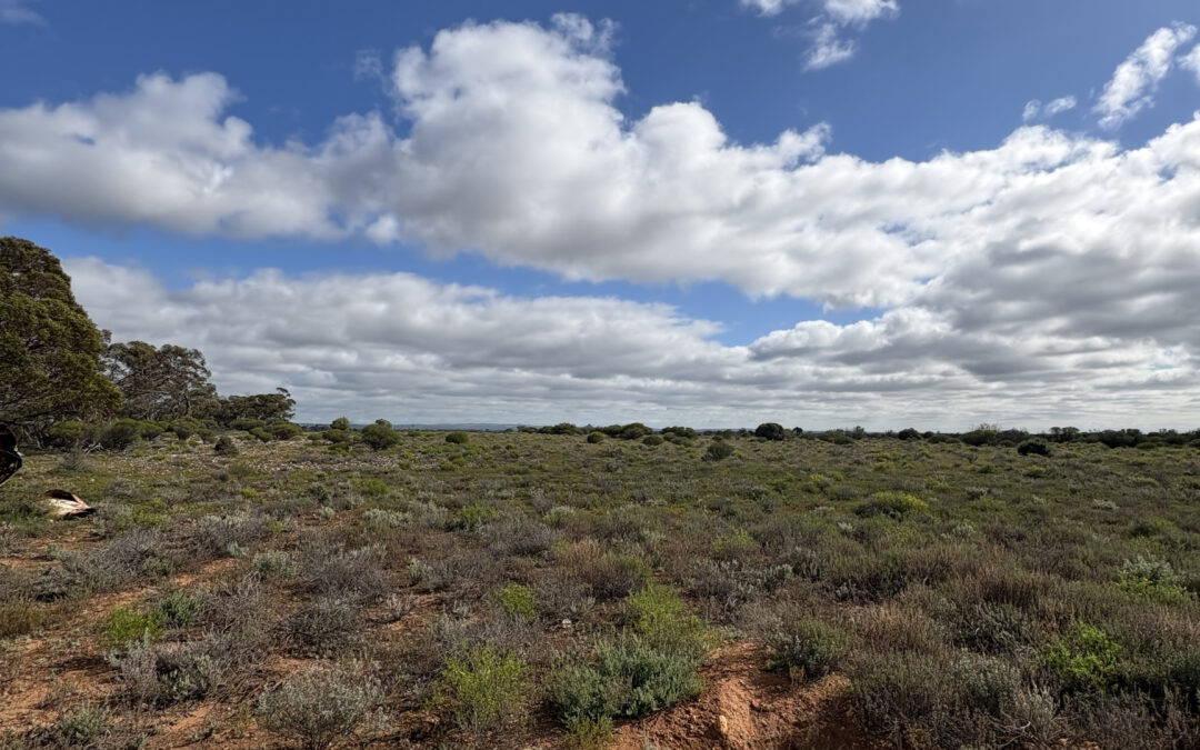 Lot 731 Sperling Road, SANDLETON, SA 5356 AUS