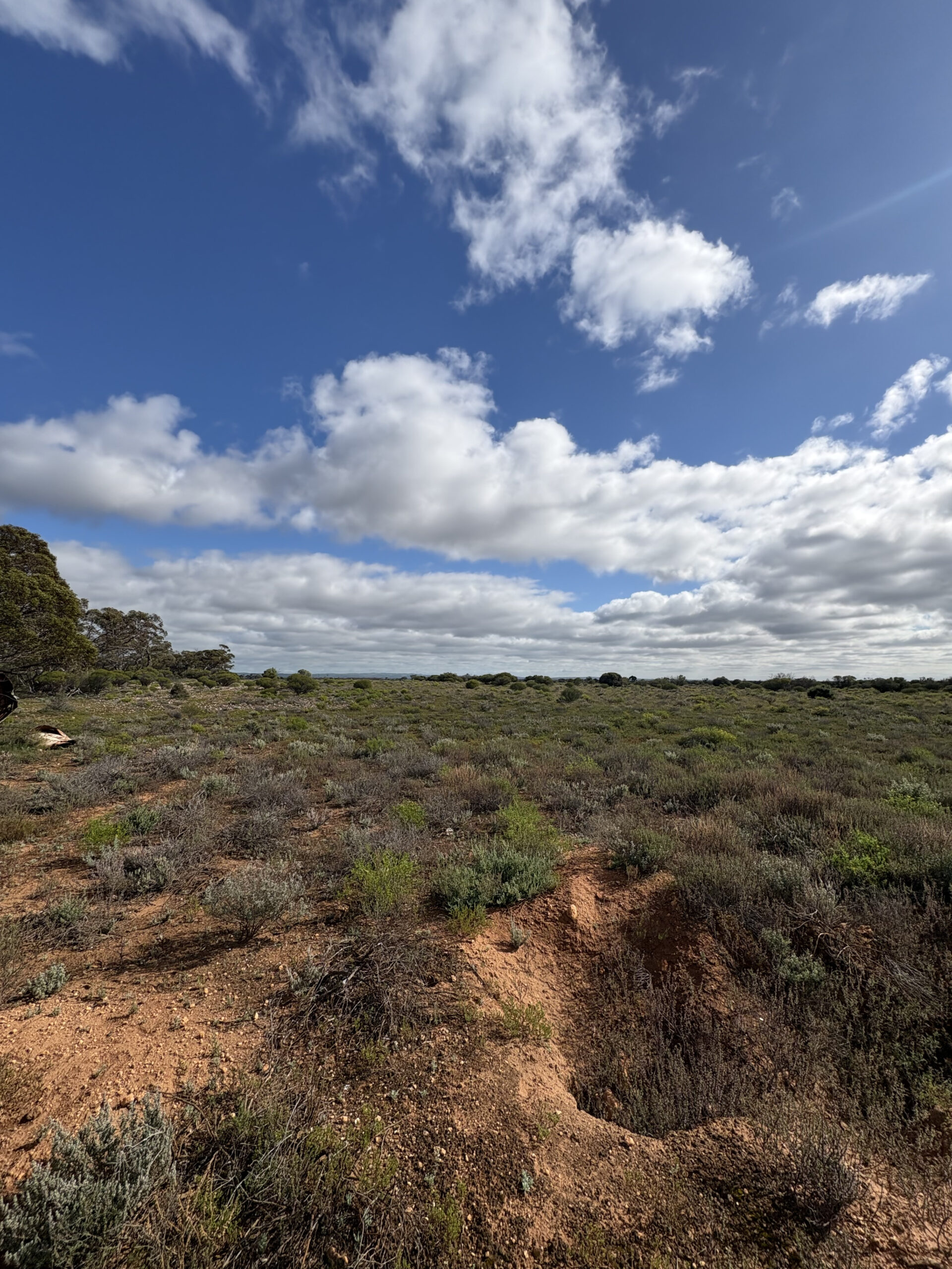 Lot 731 Sperling Road, Sandleton - Thumbnail 4