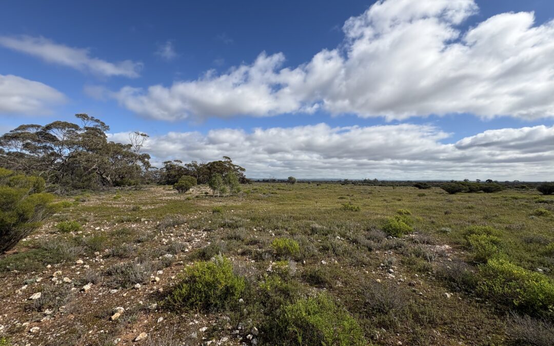 Lot 731 Sperling Road, SANDLETON, SA 5356 AUS