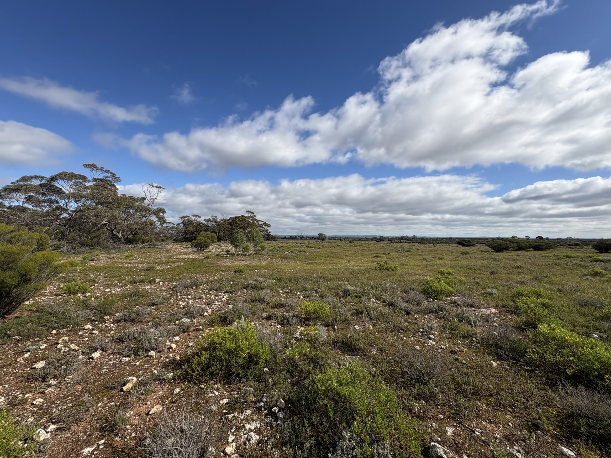 Lot 731 Sperling Road, Sandleton - Thumbnail 5