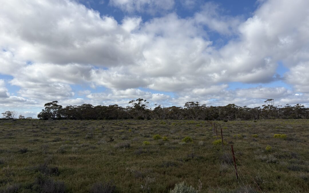Lot 731 Sperling Road, SANDLETON, SA 5356 AUS
