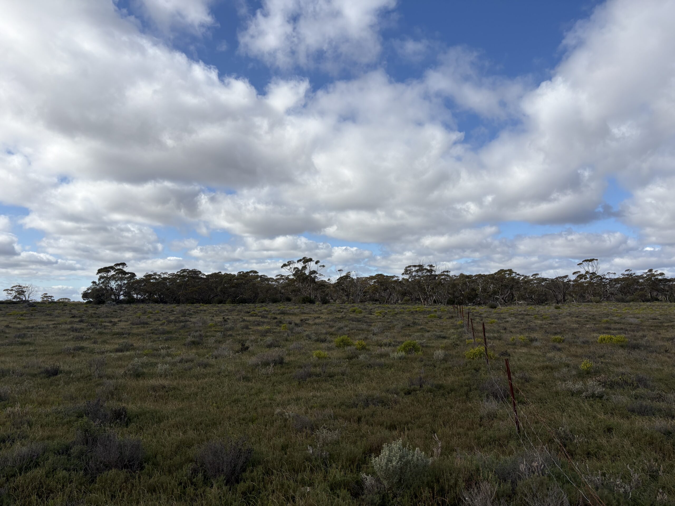 Lot 731 Sperling Road, Sandleton - Thumbnail 6