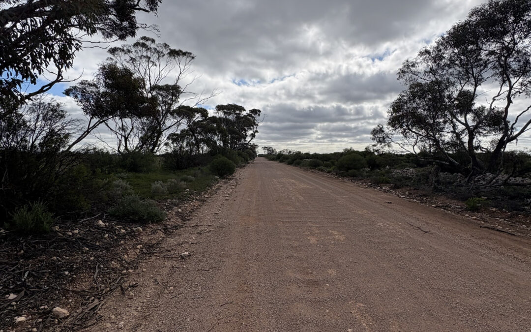 Lot 731 Sperling Road, SANDLETON, SA 5356 AUS