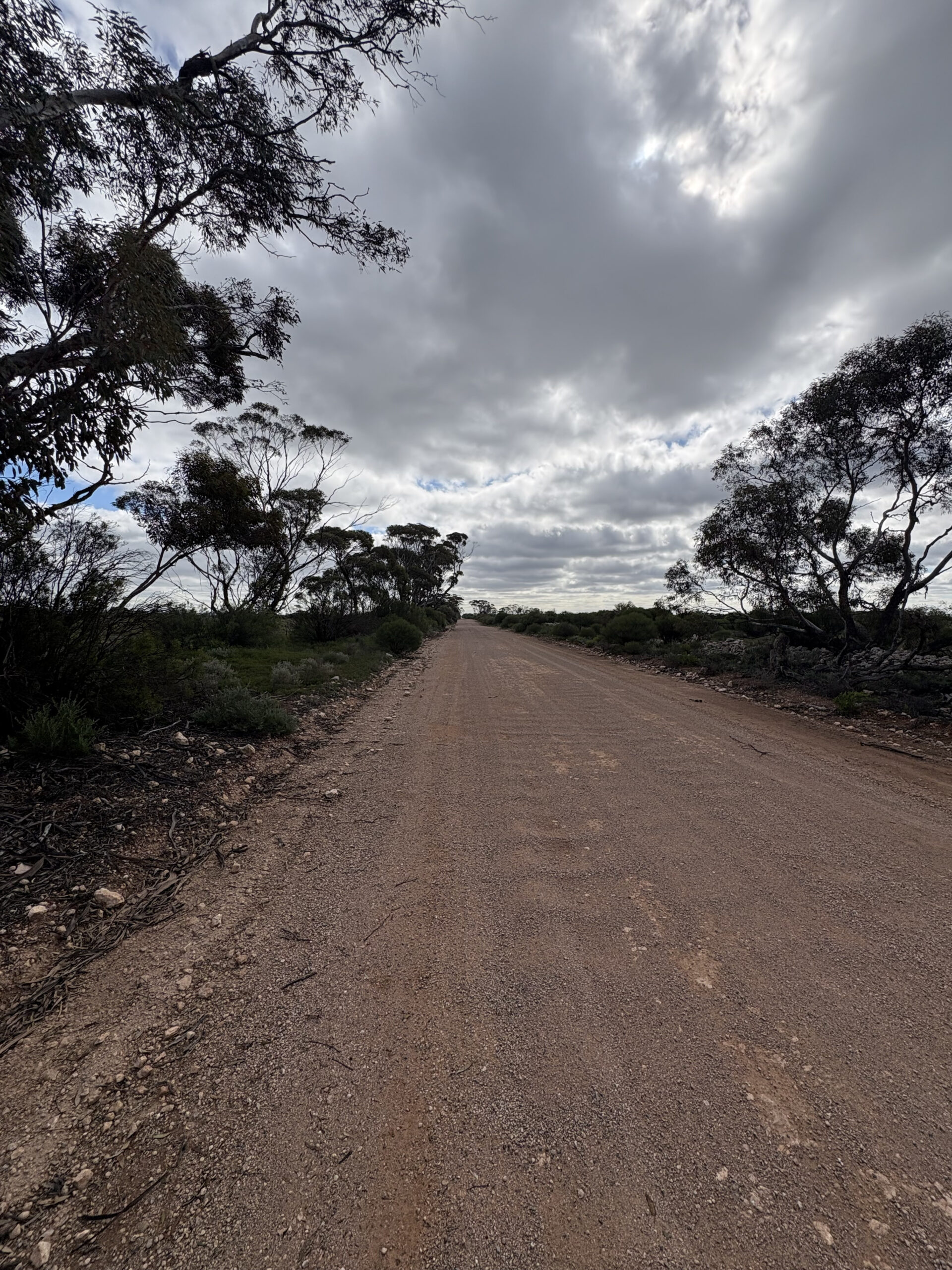 Lot 731 Sperling Road, Sandleton - Thumbnail 7