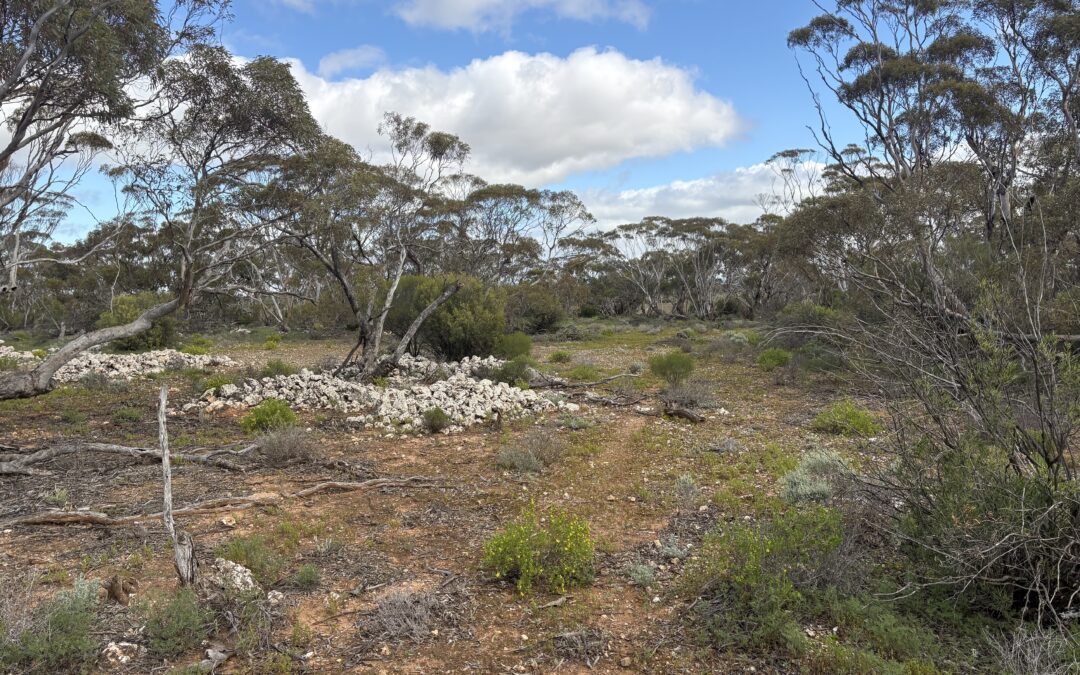 Lot 731 Sperling Road, SANDLETON, SA 5356 AUS