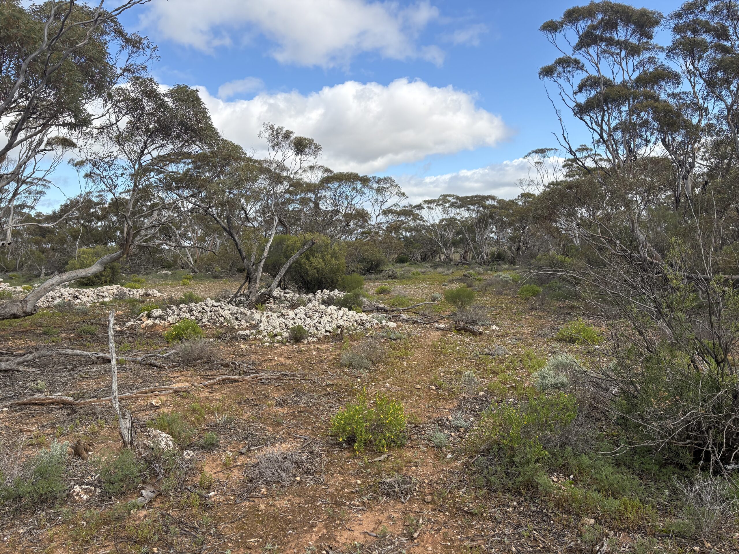 Lot 731 Sperling Road, Sandleton - Thumbnail 8