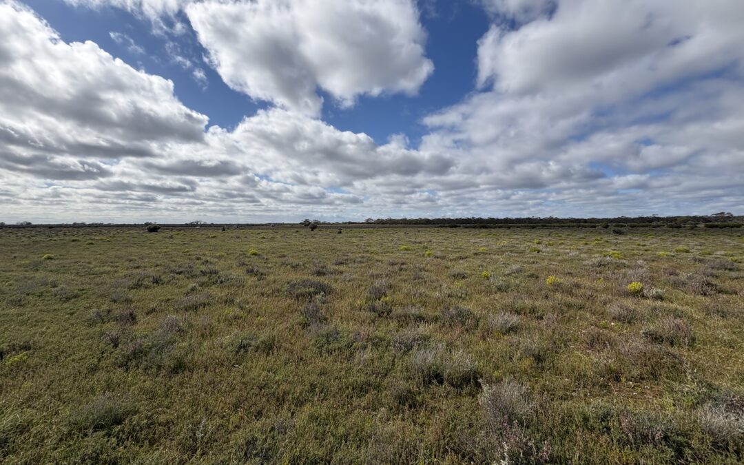 Lot 731 Sperling Road, SANDLETON, SA 5356 AUS
