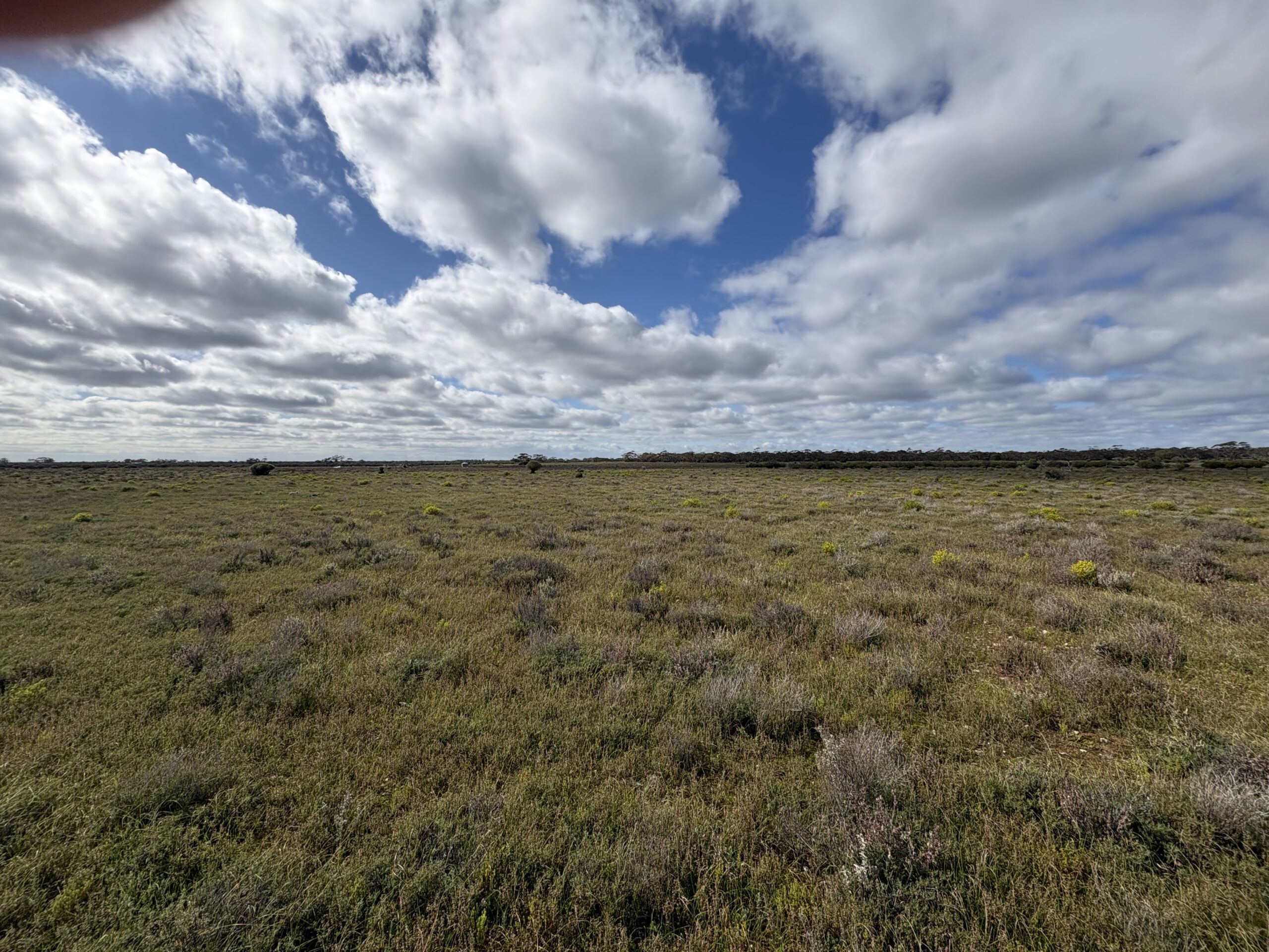 Lot 731 Sperling Road, SANDLETON, SA 5356