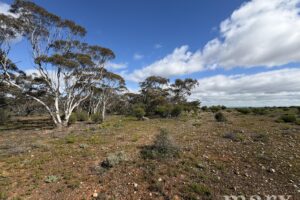 Lot 731 Sperling Road, SANDLETON, SA 5356