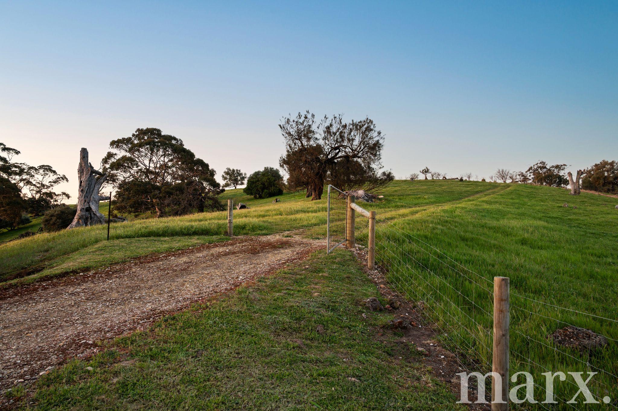 63 North Street, ANGASTON, SA 5353