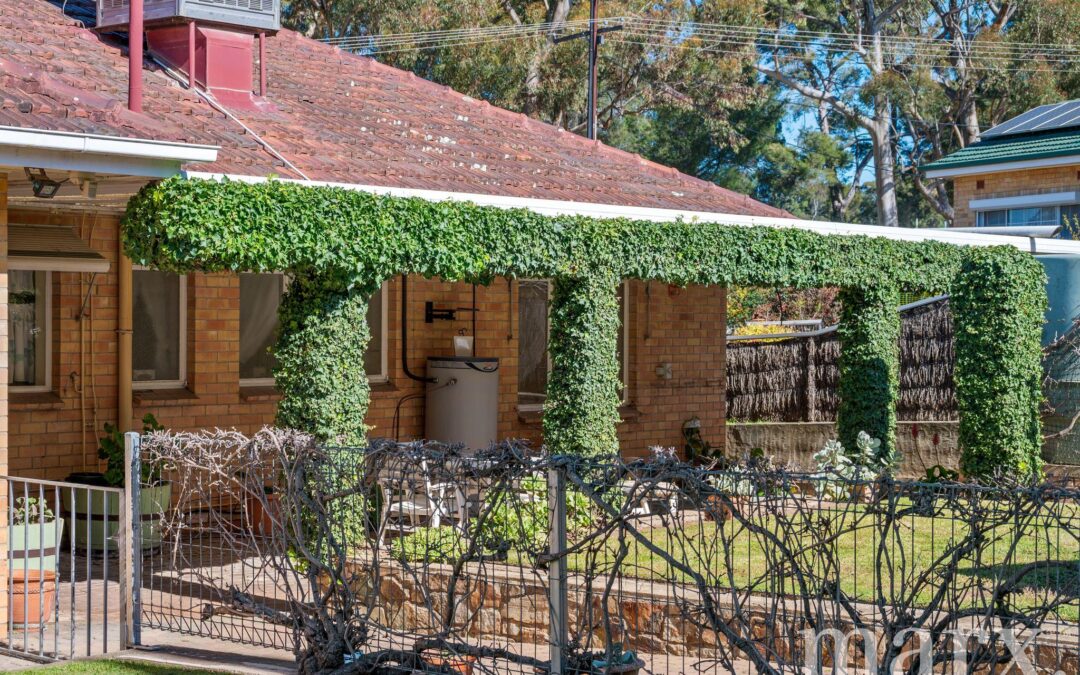36 Washington Street, ANGASTON, SA 5353 AUS