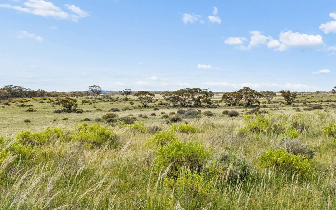 Lot 195 Seven Cross Road, SEDAN, SA 5353 AUS
