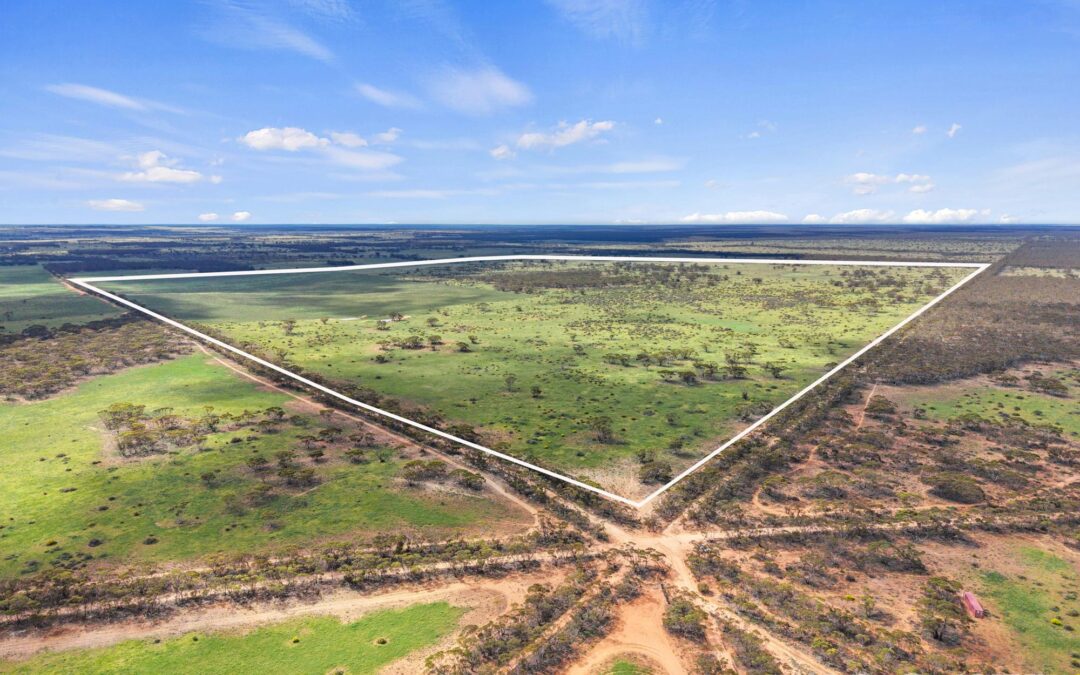 Lot 195 Seven Cross Road, SEDAN, SA 5353 AUS