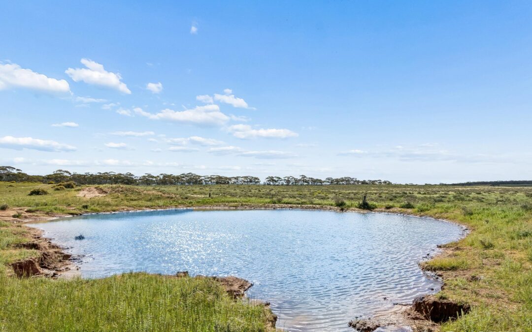 Lot 195 Seven Cross Road, SEDAN, SA 5353 AUS