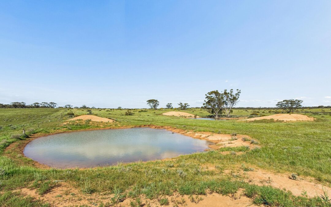 Lot 195 Seven Cross Road, SEDAN, SA 5353 AUS