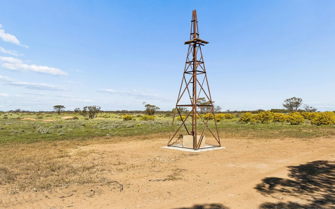 Lot 195 Seven Cross Road, SEDAN, SA 5353 AUS