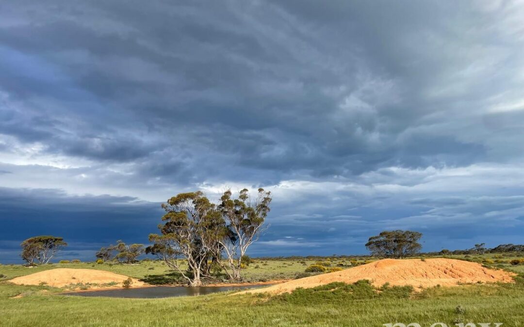 Lot 195 Seven Cross Road, SEDAN, SA 5353 AUS