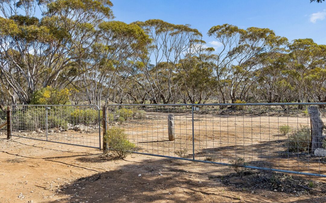 Lot 195 Seven Cross Road, SEDAN, SA 5353 AUS