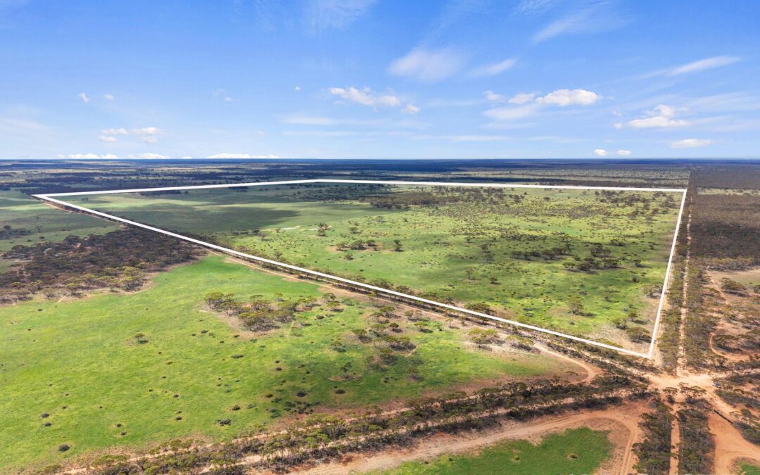 Lot 195 Seven Cross Road, SEDAN, SA 5353 AUS