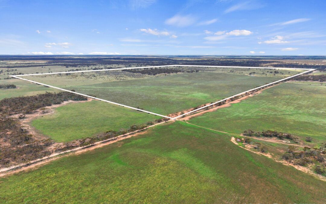 Lot 195 Seven Cross Road, SEDAN, SA 5353 AUS
