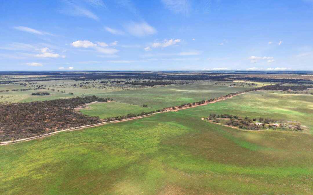 Lot 195 Seven Cross Road, SEDAN, SA 5353 AUS