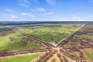 Lot 195 Seven Cross Road, SEDAN, SA 5353