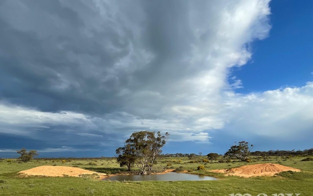 Lot 195 Seven Cross Road, SEDAN, SA 5353 AUS
