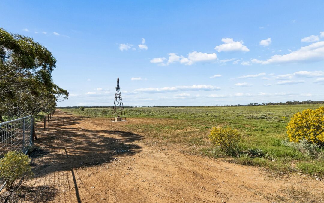 Lot 195 Seven Cross Road, SEDAN, SA 5353 AUS